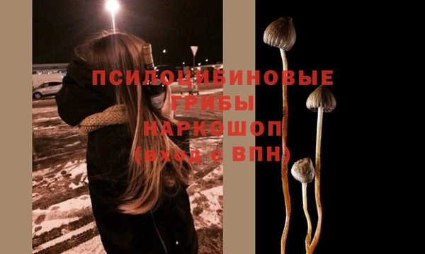 спиды Алексеевка