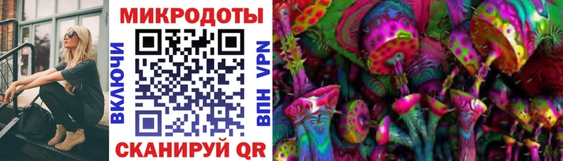 Псилоцибиновые грибы GOLDEN TEACHER где продают Дзержинск
